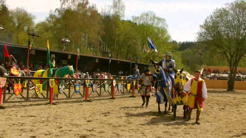 Image: Das Royalstiger Casino - Der Weg zum Glück in Deutschland